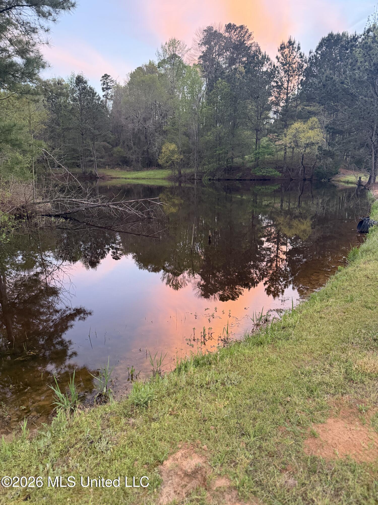 956 Franklin Road Morton, MS 39117 - Photo 10 of 48 IMG_2577