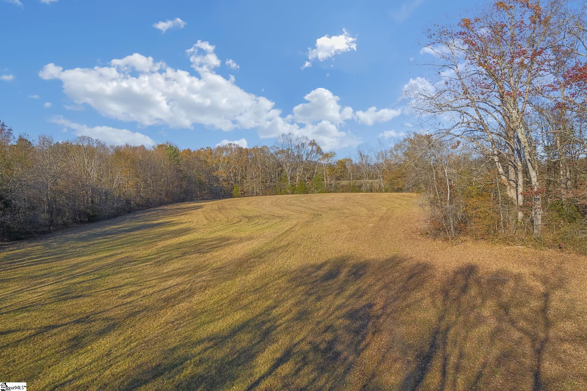 1331 Breazeale Road Easley, SC 29640 - Photo 9 of 12