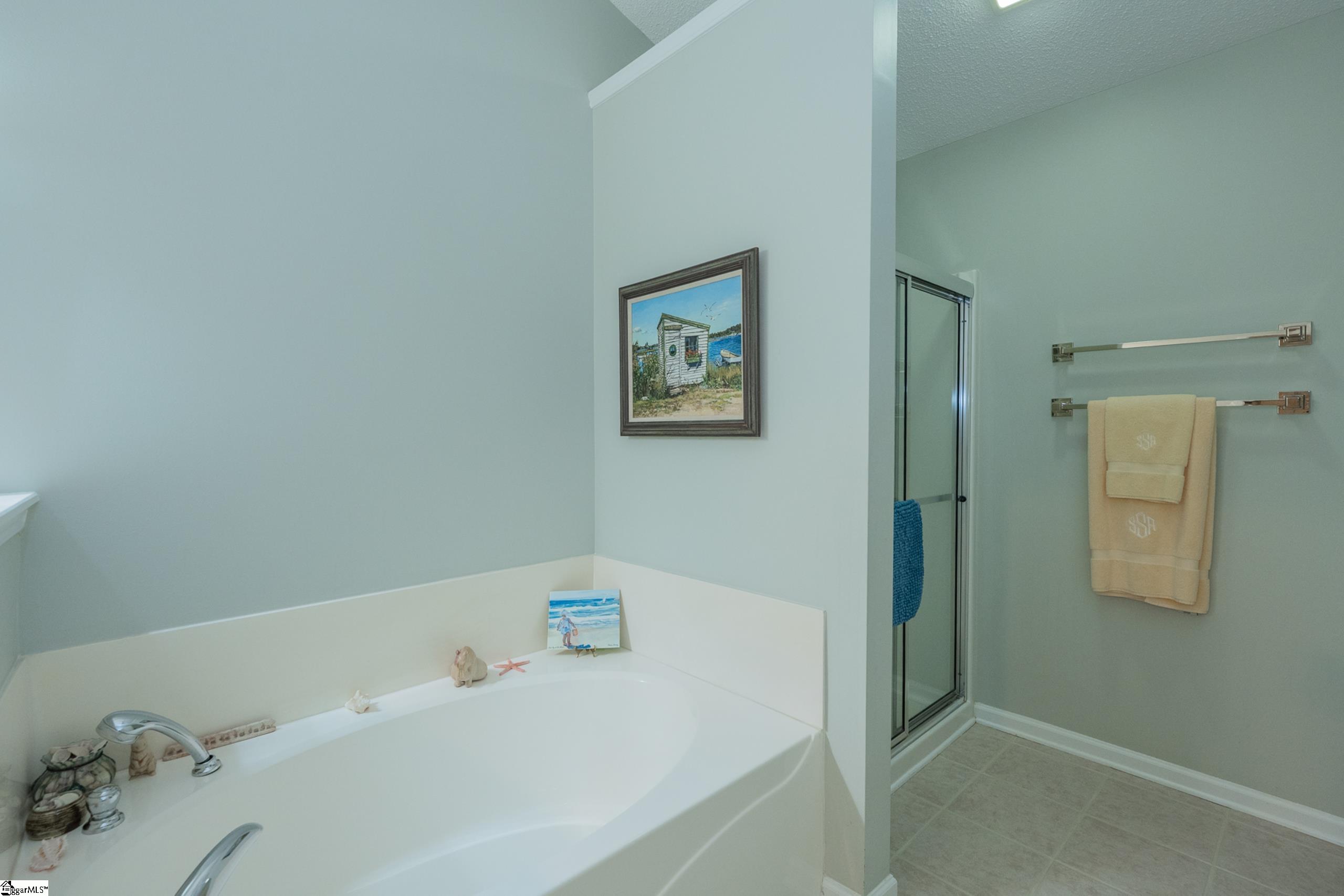 29 River Birch Way Greer, SC 29650 - Photo 14 of 25