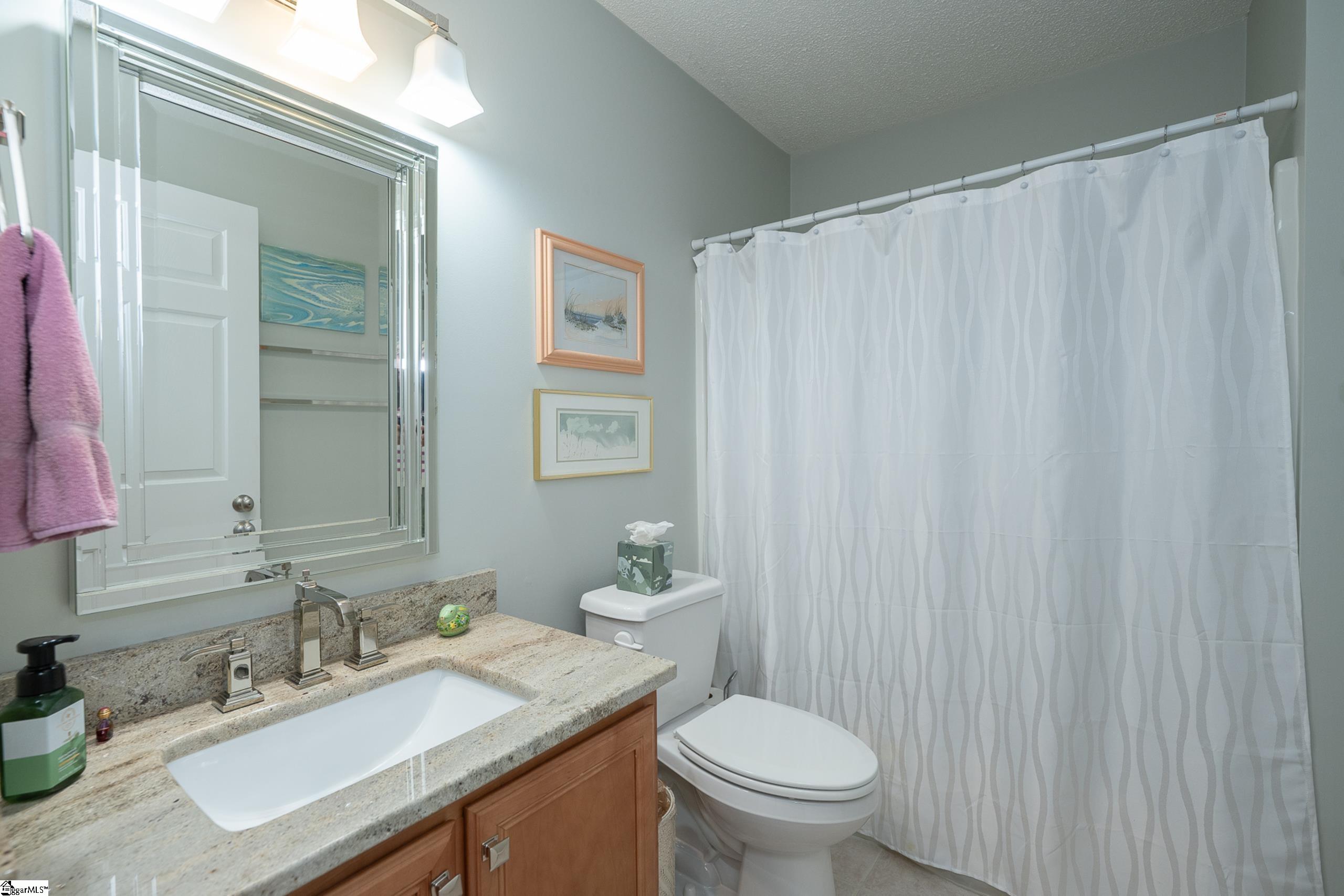 29 River Birch Way Greer, SC 29650 - Photo 17 of 25