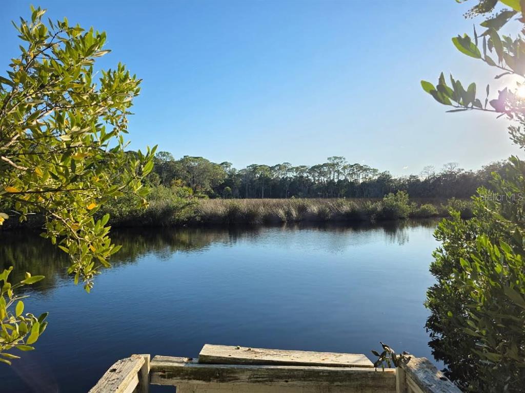 18909 Aripeka Road Aripeka, FL 34679 - Photo 1 of 4 a view of a lake with houses