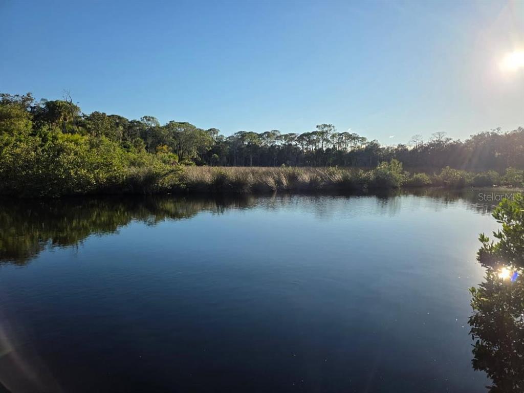 18909 Aripeka Road Aripeka, FL 34679 - Photo 2 of 4 a view of a lake with houses in the back