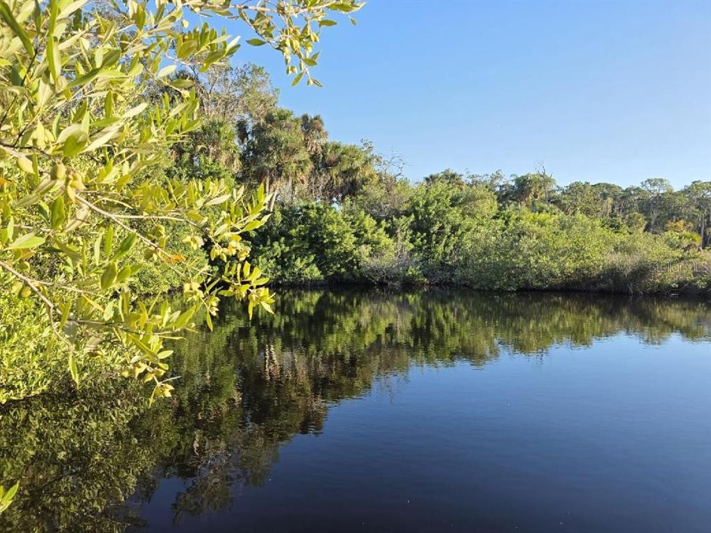 18909 Aripeka Road Aripeka, FL 34679 - Photo 4 of 5