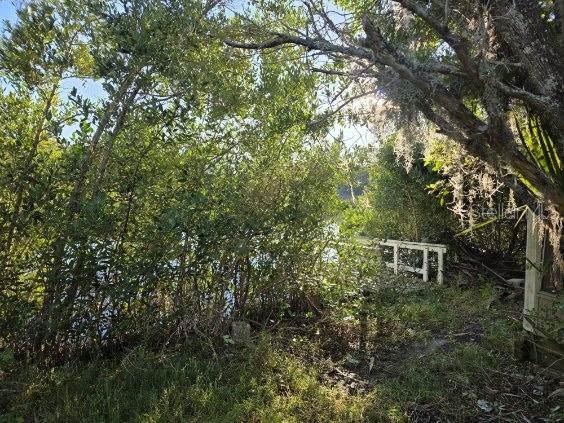 18909 Aripeka Road Aripeka, FL 34679 - Photo 4 of 4 a view of outdoor space and garden