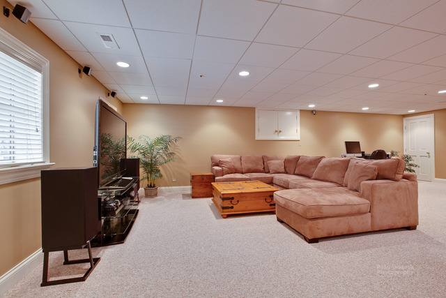 1390 Gettysburg Road Long Grove, IL 60047 - Photo 19 of 25 a living room with furniture and a flat screen tv