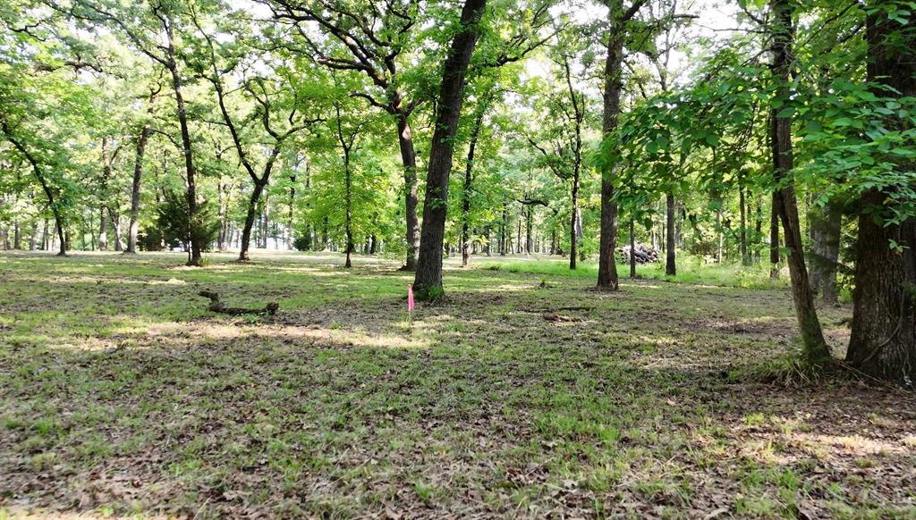 Lot 62 Anchor Point Quinlan, TX 75474 - Photo 2 of 8 a view of a tree in a field