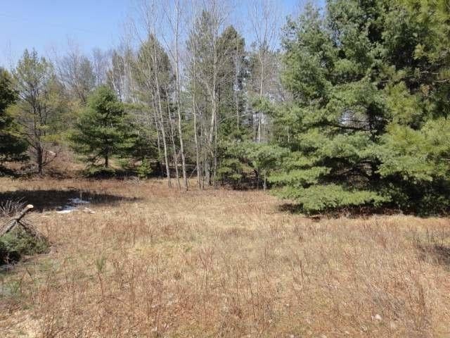 On Schmidtbauer Road Tomahawk, WI 54487 - Photo 9 of 16 Gallery Image 9
