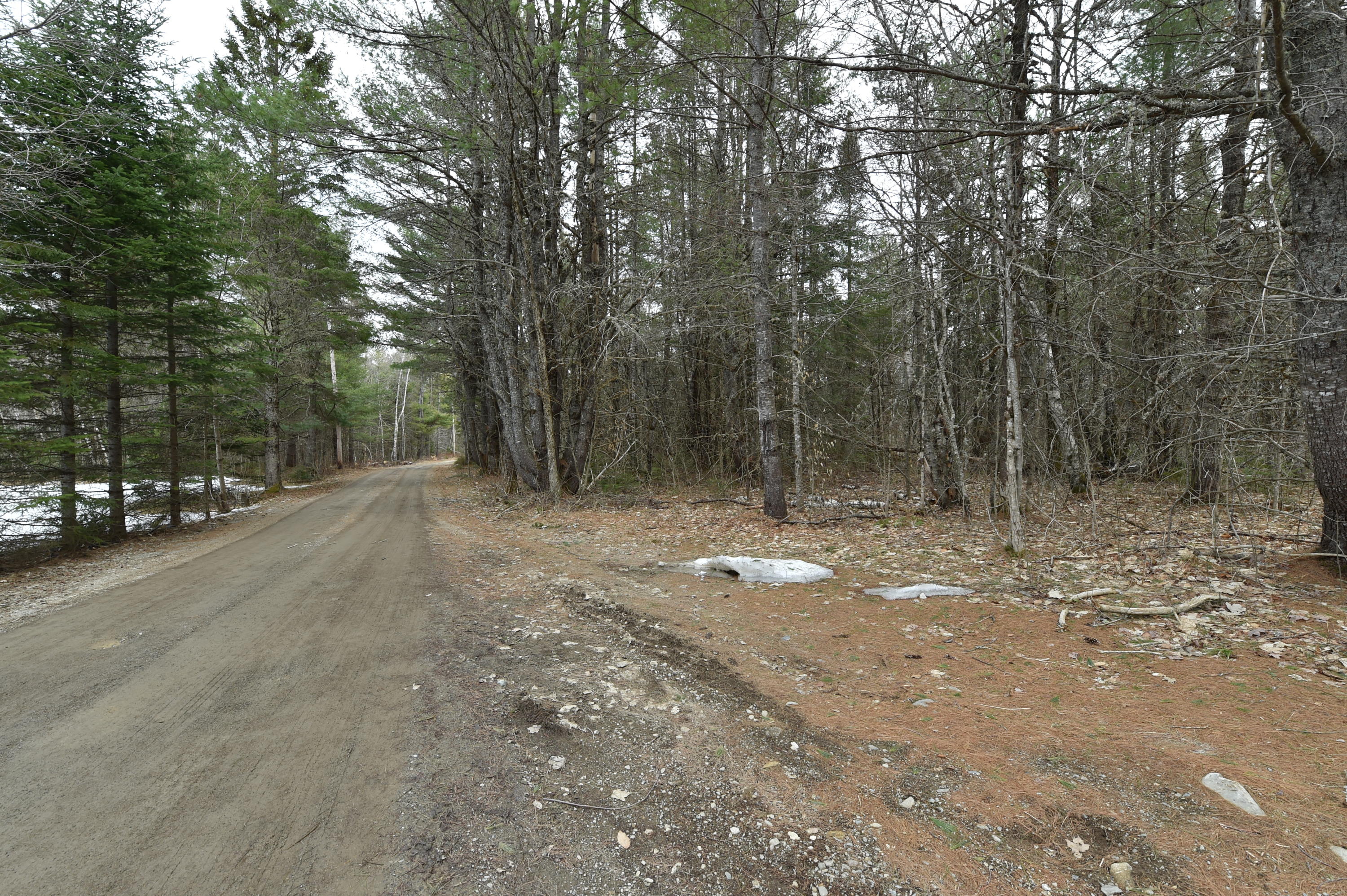 Lot 7 South Road Lee, ME 04455 - Photo 7 of 10 DSC_5460