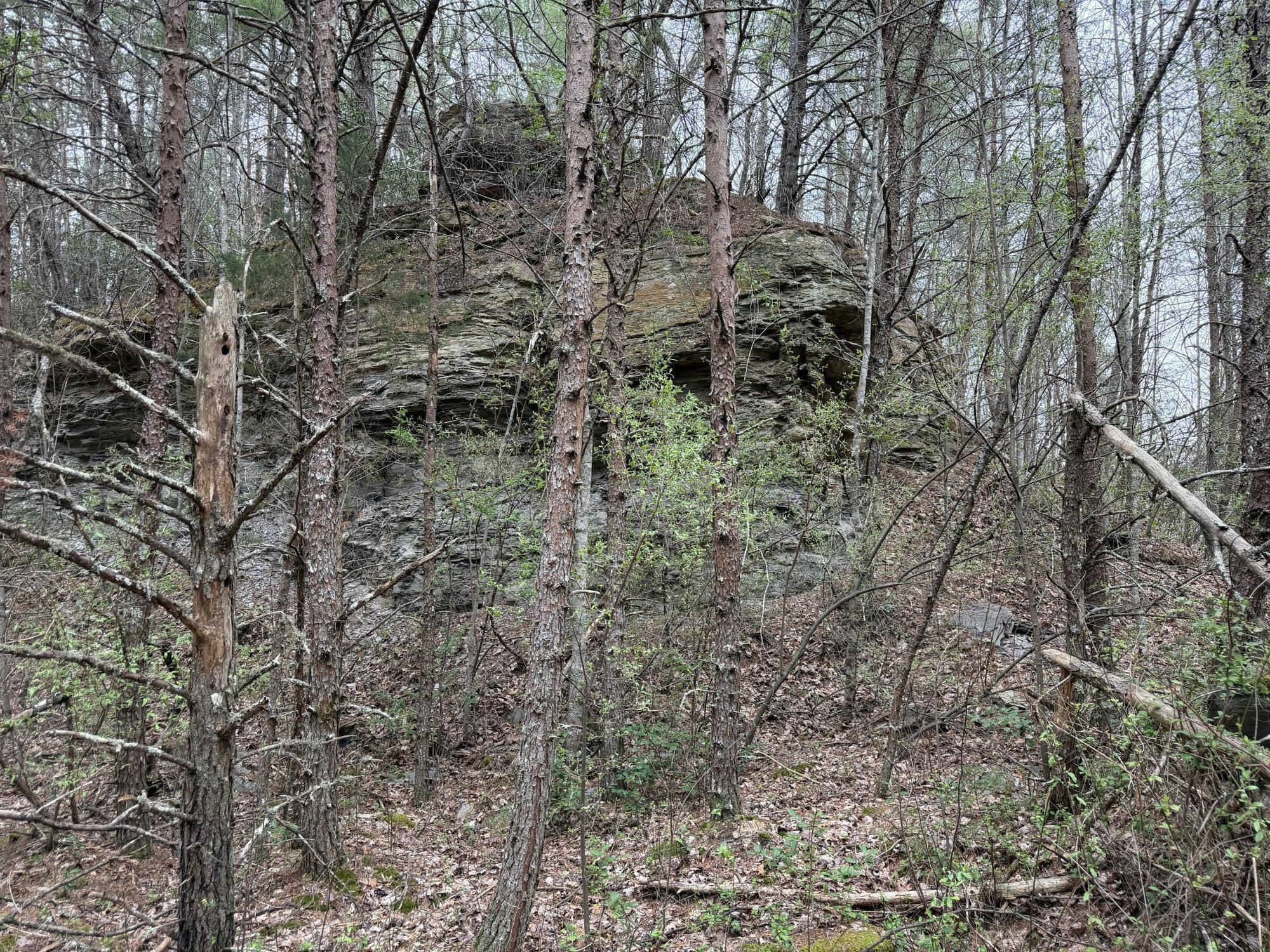 899 Morning Glory Road Oneida, TN 37841 - Photo 21 of 27