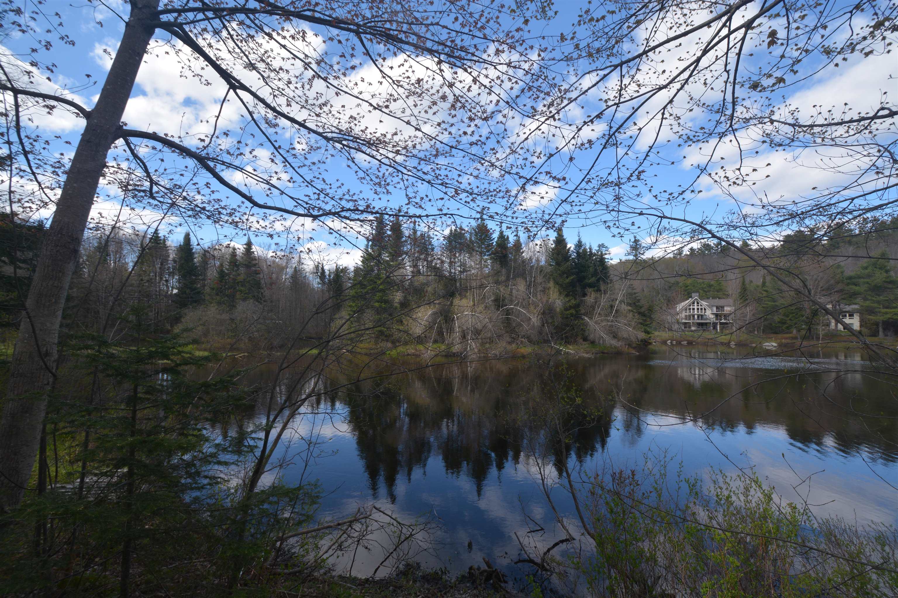 12 Old Spring Drive Grantham, NH 03753 - Photo 18 of 32