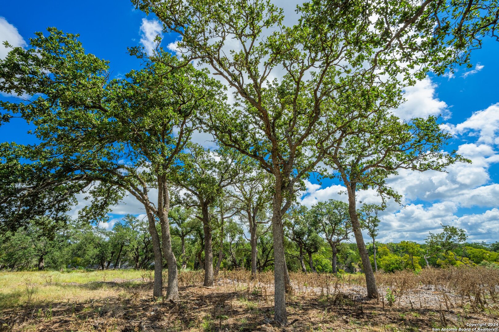 783 Ranch To Market Road 783 Harper, TX 78631 - Photo 10 of 24