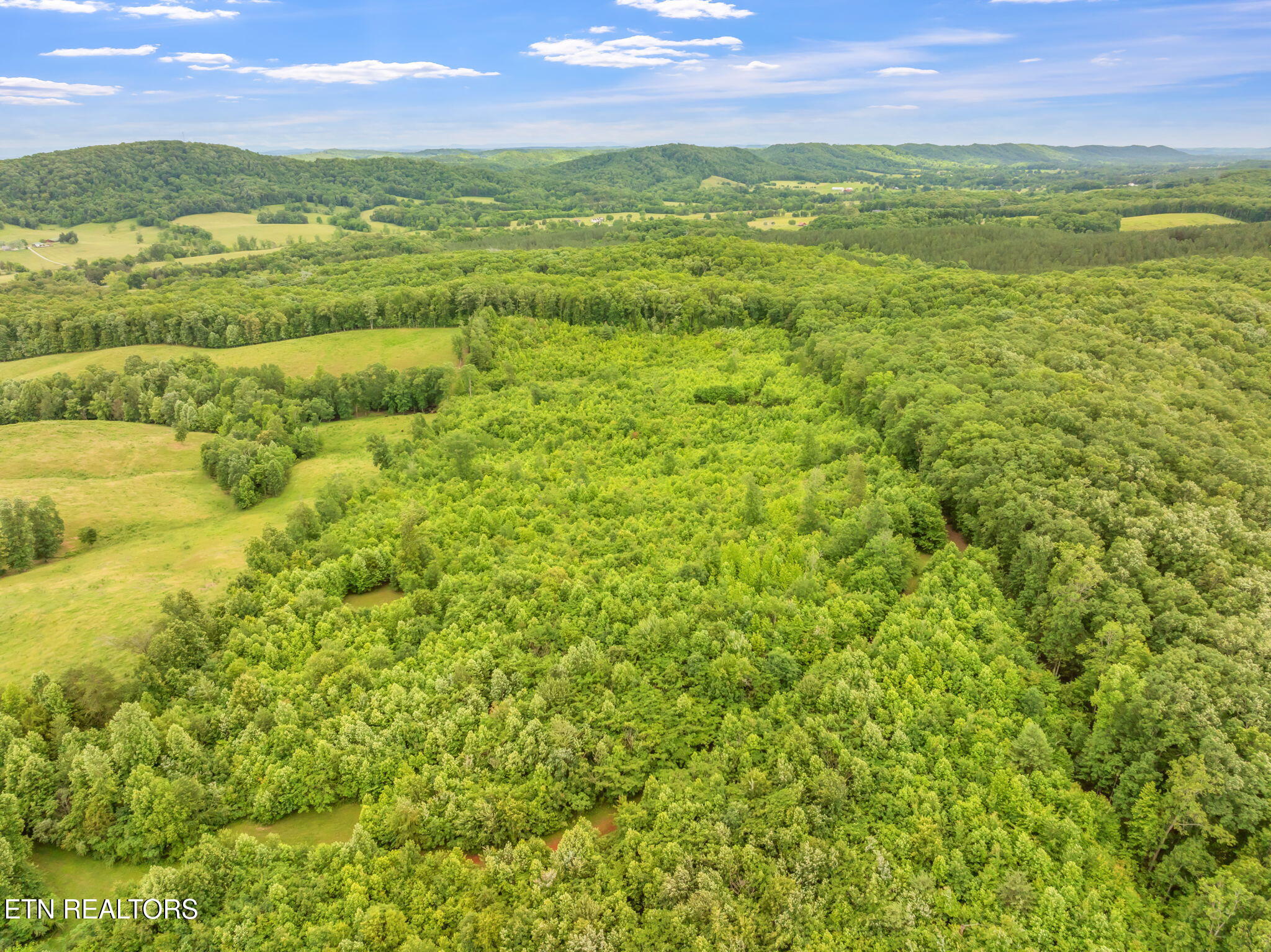 0 Grigsby Hollow Road Kingston, TN 37763 - Photo 34 of 34 17-web-or-mls-Grigsby Hollow Land-14