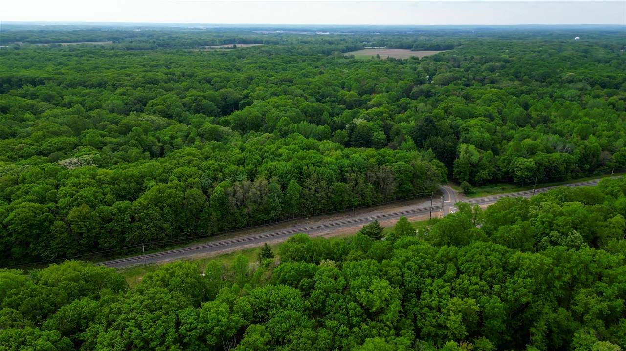0 Red Arrow Highway Lakeside, MI 49128 - Photo 10 of 25