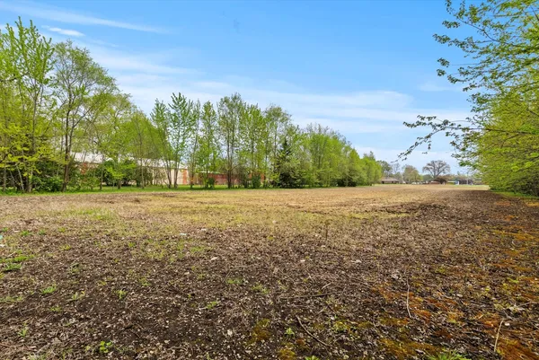a view of yard with green space