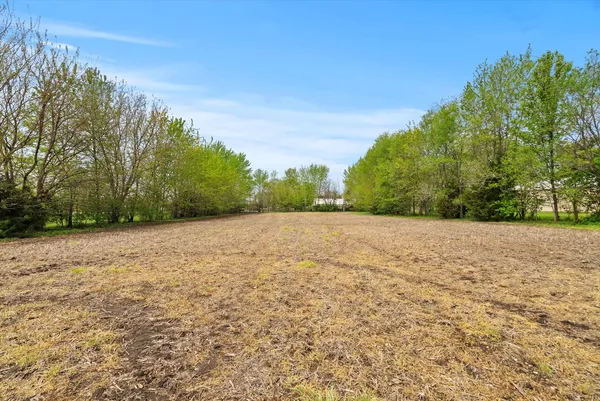 a view of yard with green space