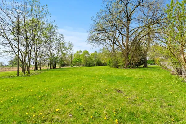 a view of a park with large trees