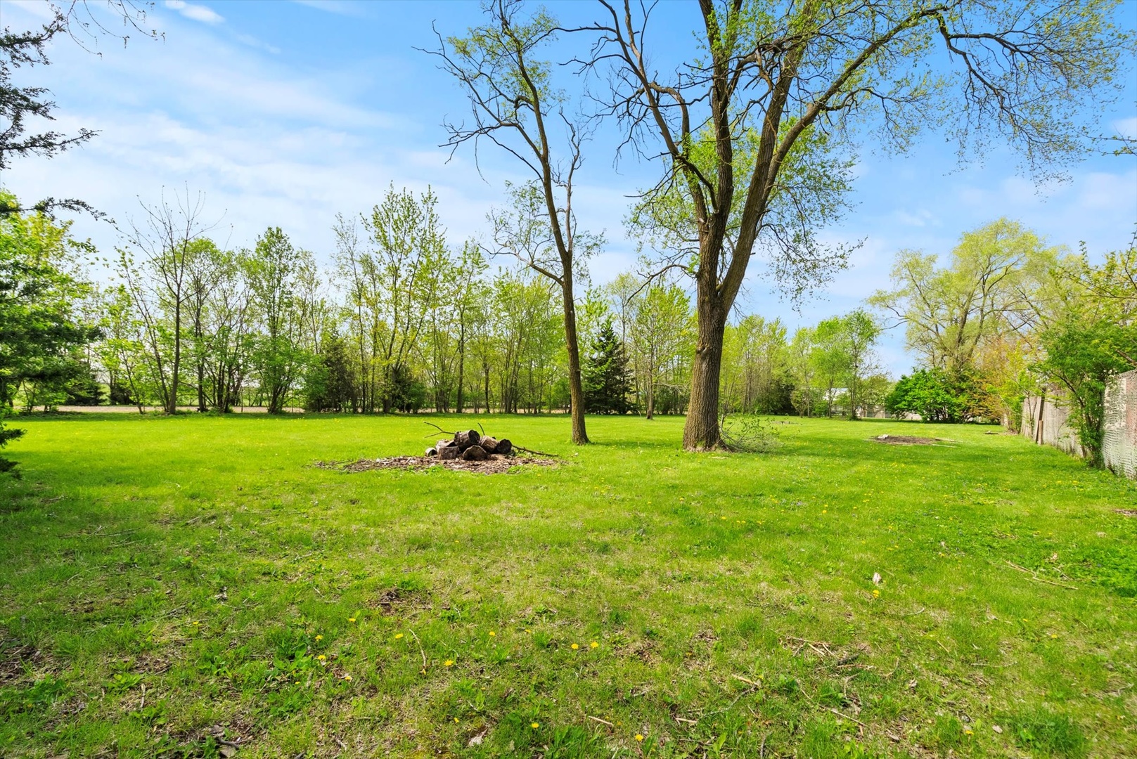 435 South State Street Manhattan, IL 60442 - Photo 14 of 20 a view of a park with large trees