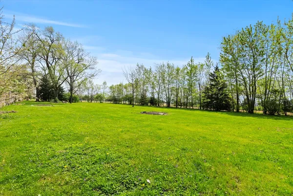 a view of a grassy field with an trees
