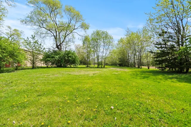 a view of outdoor space with deck and trees