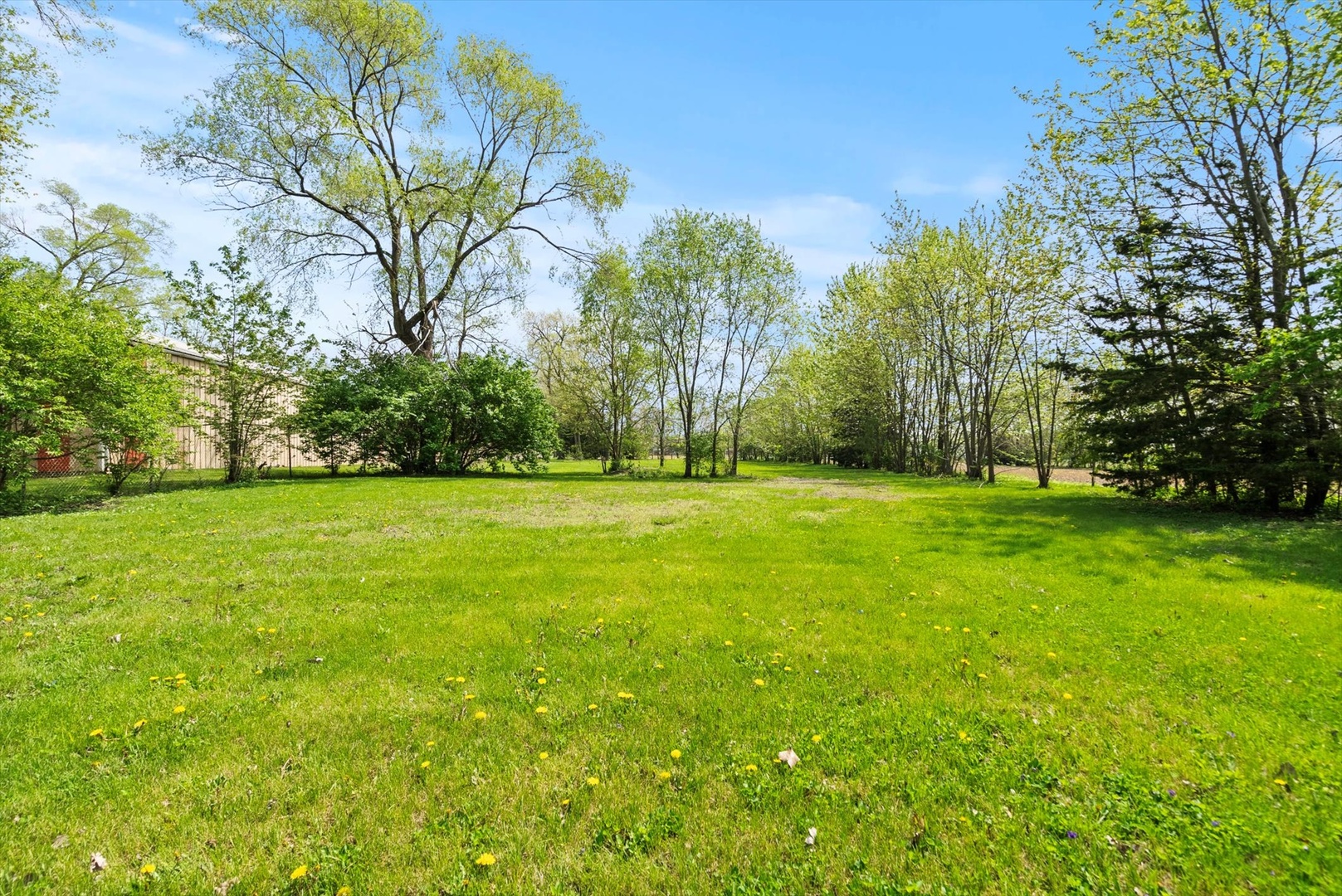 435 South State Street Manhattan, IL 60442 - Photo 19 of 20 a view of green field with trees