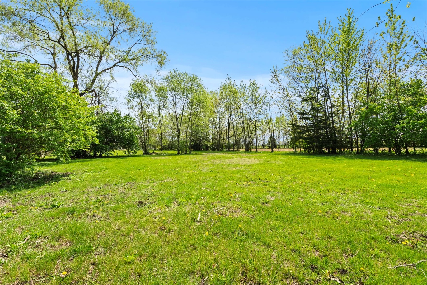 435 South State Street Manhattan, IL 60442 - Photo 20 of 20 a view of outdoor space with deck and trees