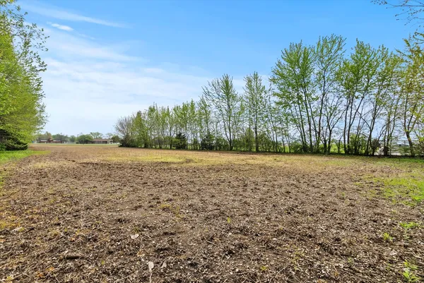a view of a field with trees