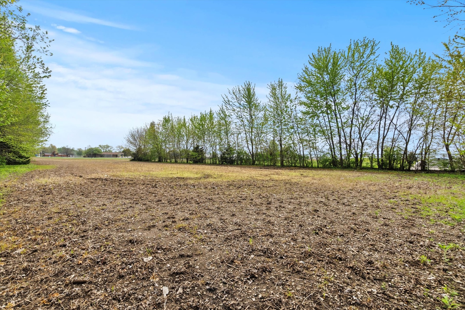 435 South State Street Manhattan, IL 60442 - Photo 9 of 20 a view of a field with trees