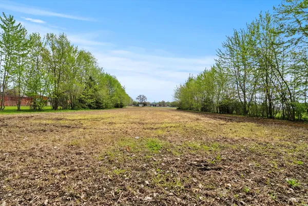 a view of a field with trees in the background