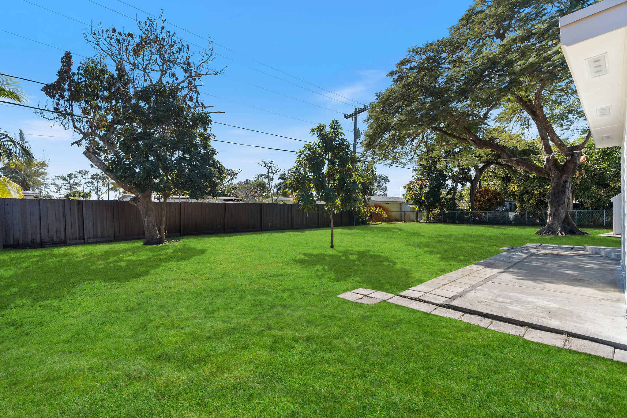5580 Maypop Road West Palm Beach, FL 33415 - Photo 24 of 41 a view of a yard with a tree