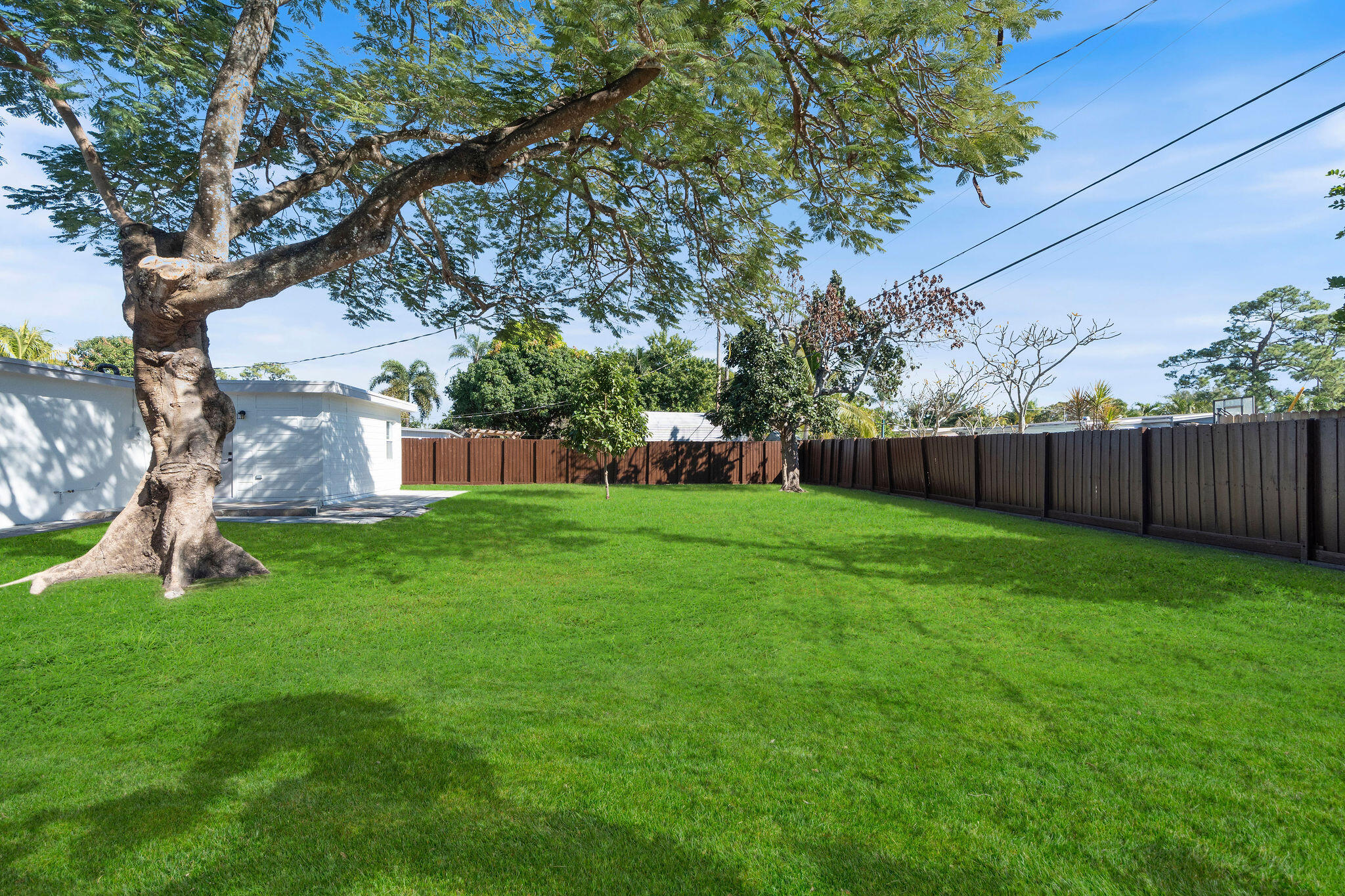 5580 Maypop Road West Palm Beach, FL 33415 - Photo 27 of 41 a view of yard with grass and trees