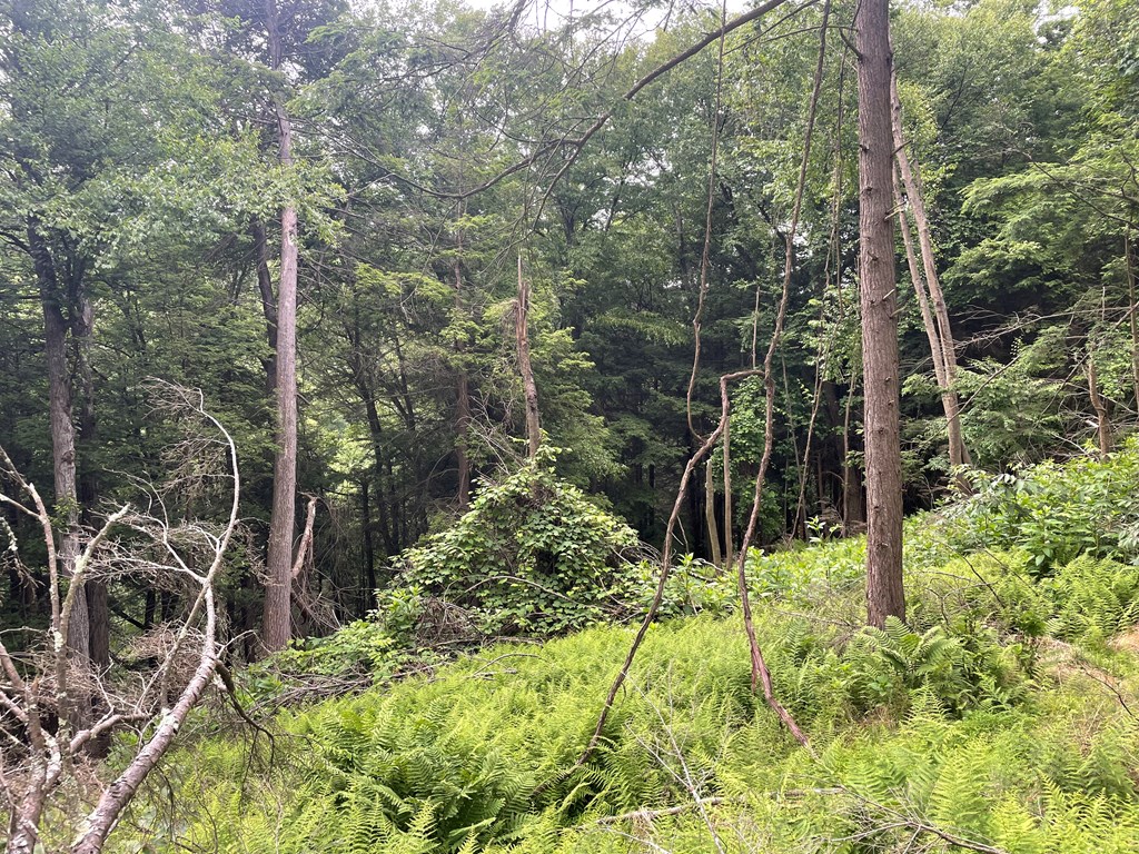 0 Creek Road Dayton, PA 16222 - Photo 11 of 14
