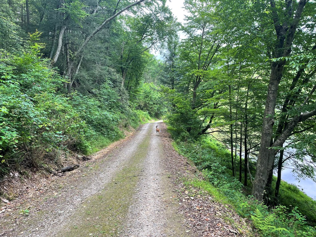 0 Creek Road Dayton, PA 16222 - Photo 14 of 14