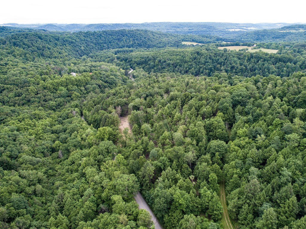 0 Creek Road Dayton, PA 16222 - Photo 4 of 14