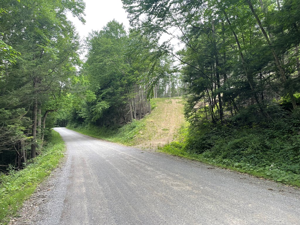 0 Creek Road Dayton, PA 16222 - Photo 6 of 14