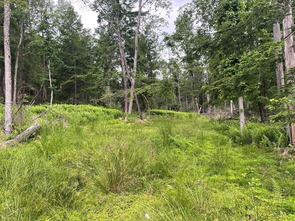 0 Creek Road Dayton, PA 16222 - Photo 10 of 14
