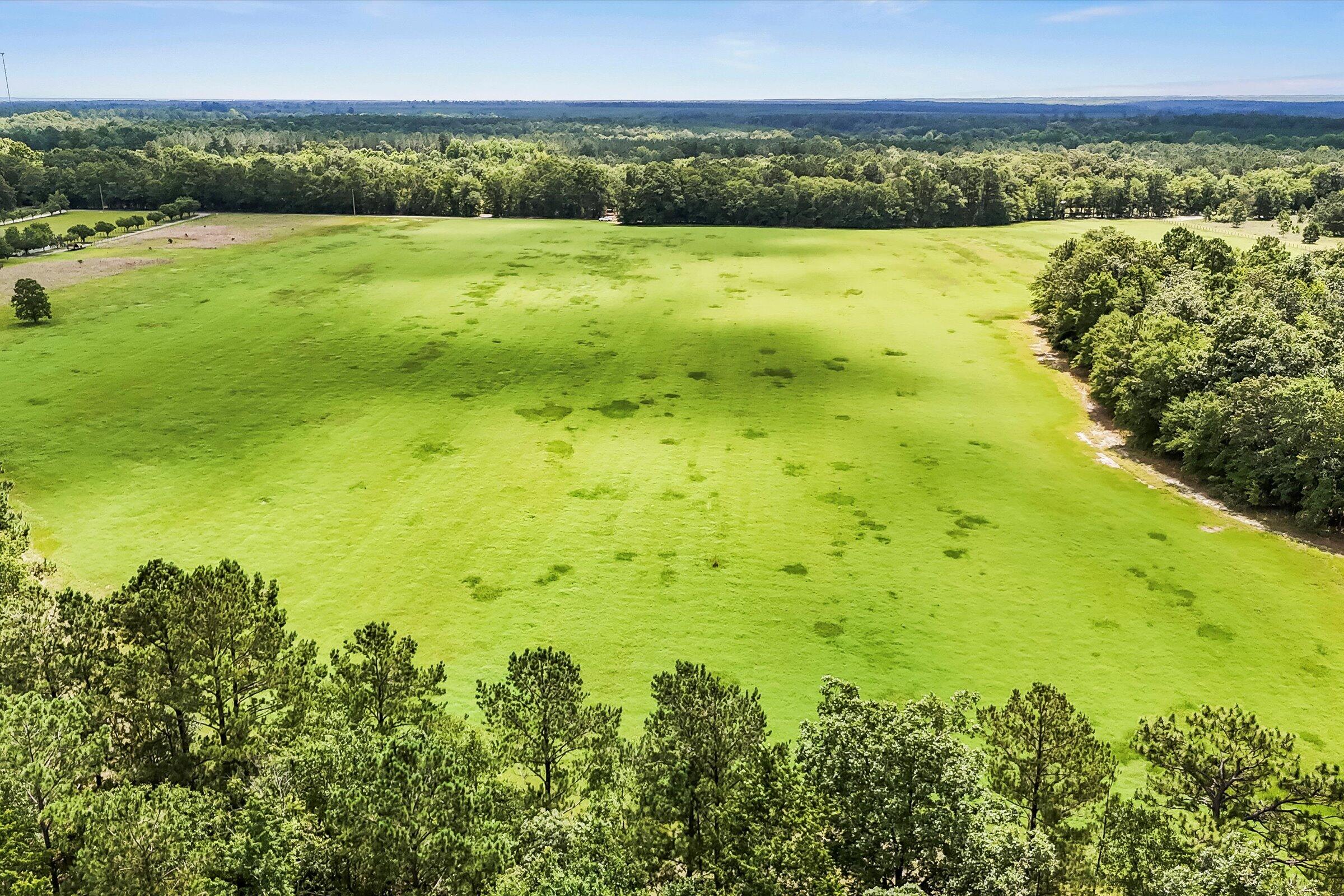 Lot 2 Mt Beulah Road Windsor, SC 29856 - Photo 8 of 15