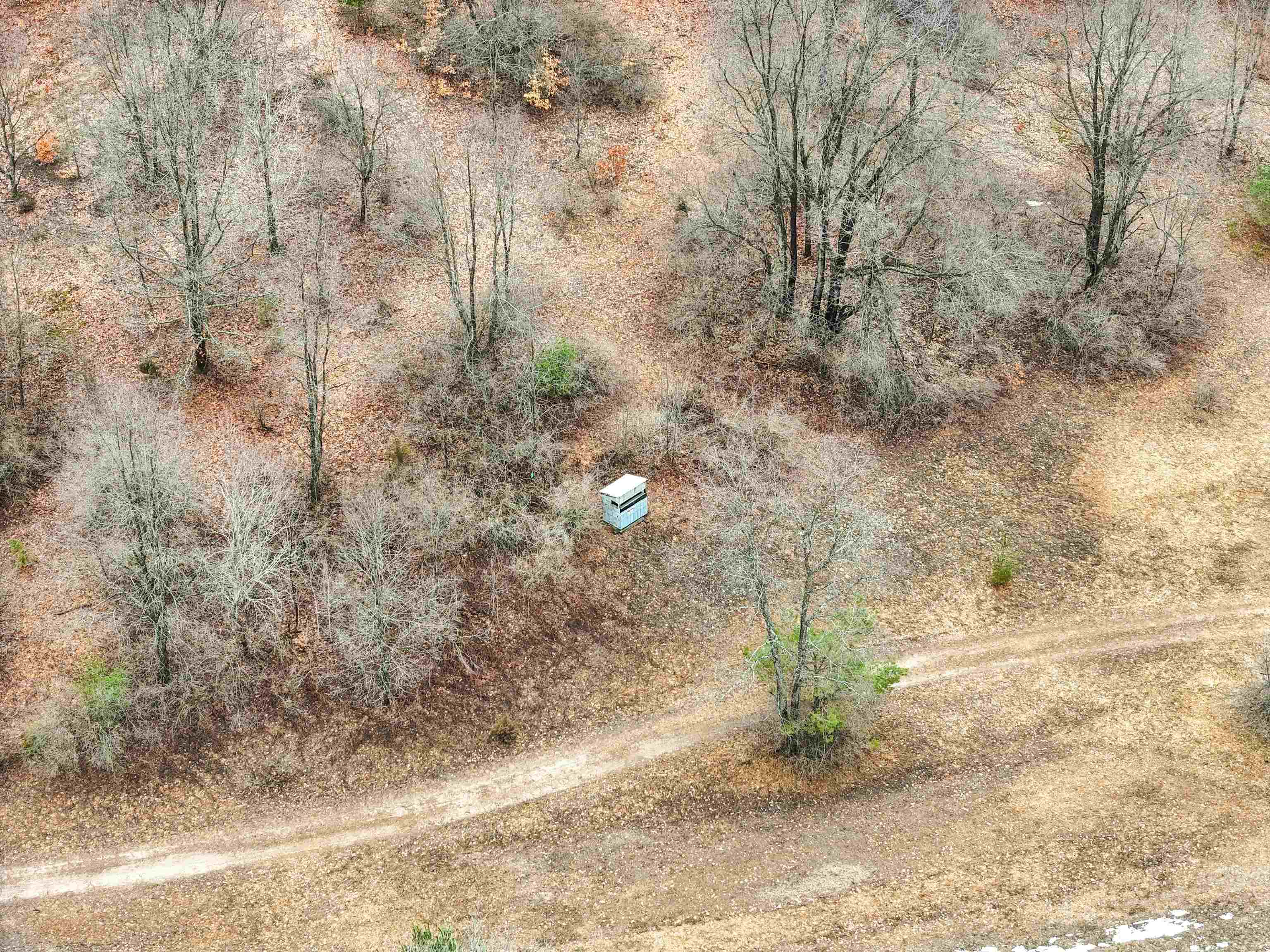 8299 West Walker Road Manton, MI 49663 - Photo 14 of 33