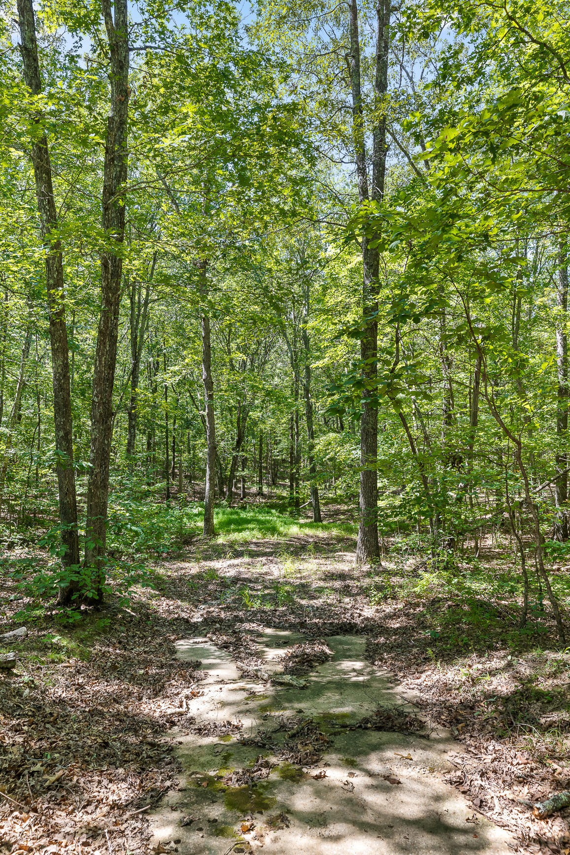 223 Woodland Ridge Road Dunlap, TN 37327 - Photo 21 of 32 Gallery Image 21