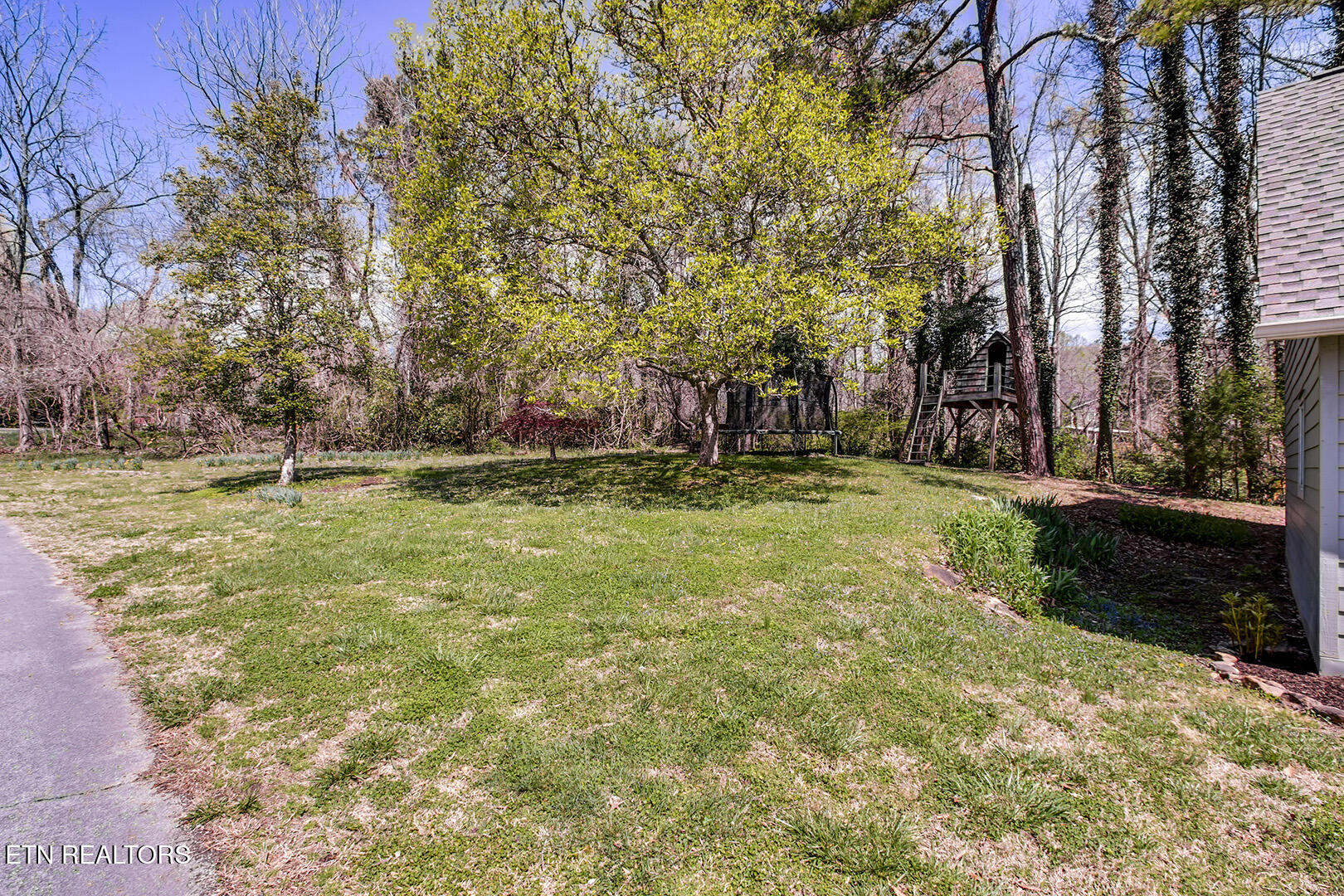 123 Orchard Road Norris, TN 37828 - Photo 49 of 52 49_OrchardRoad_123_PlayYard02