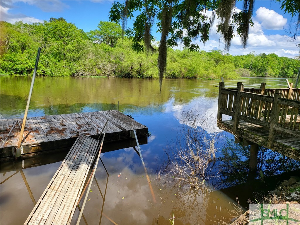 1029 Riverview Road Brooklet, GA 30415 - Photo 3 of 7