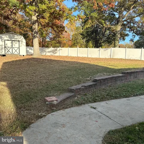 a view of yard with trees
