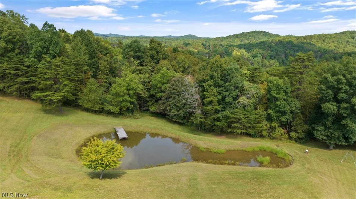 1656 Racy Road Petroleum, WV 26161 - Photo 12 of 21