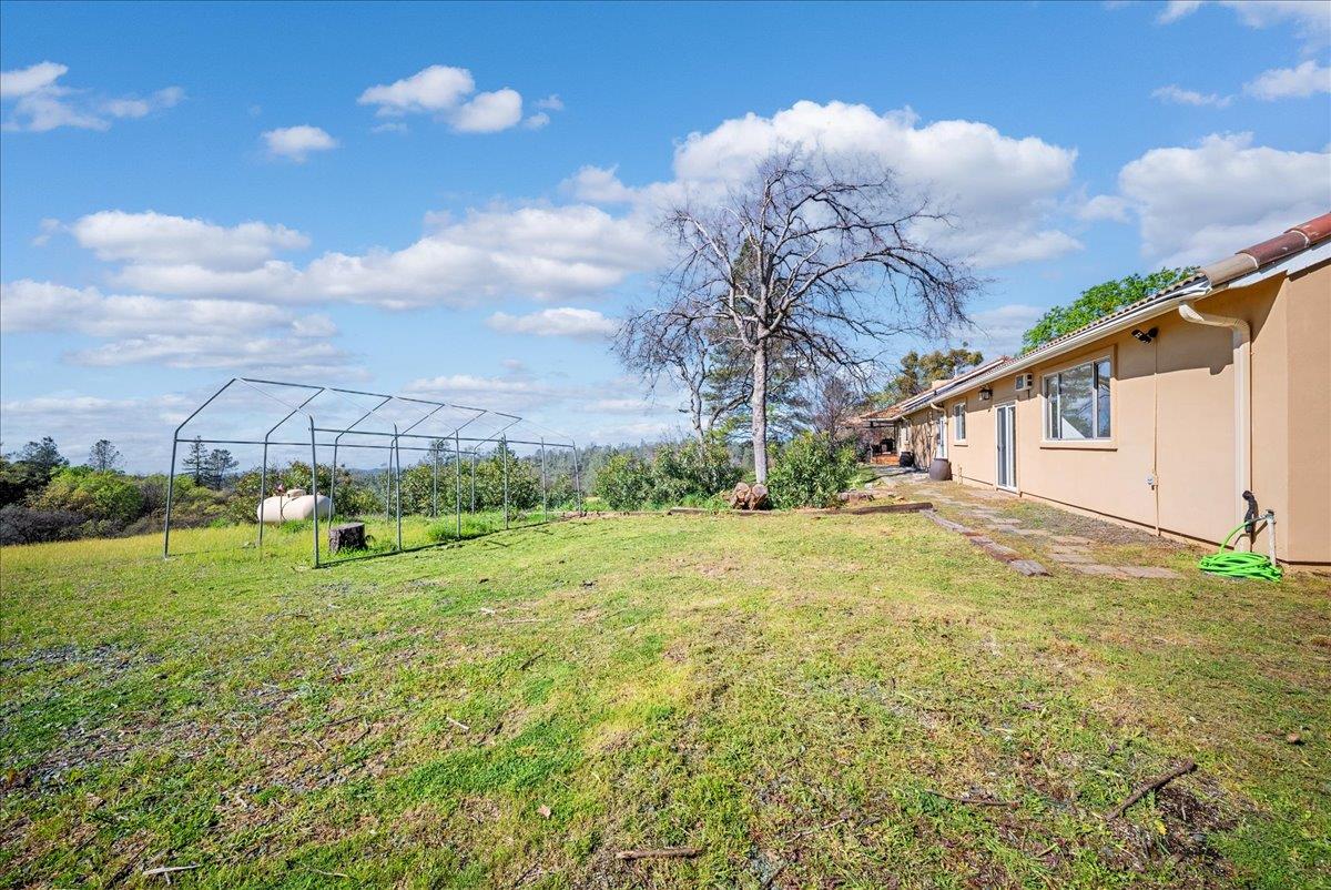 16035 Running Springs Road Grass Valley, CA 95949 - Photo 50 of 94 a view of a backyard with plants and a garden