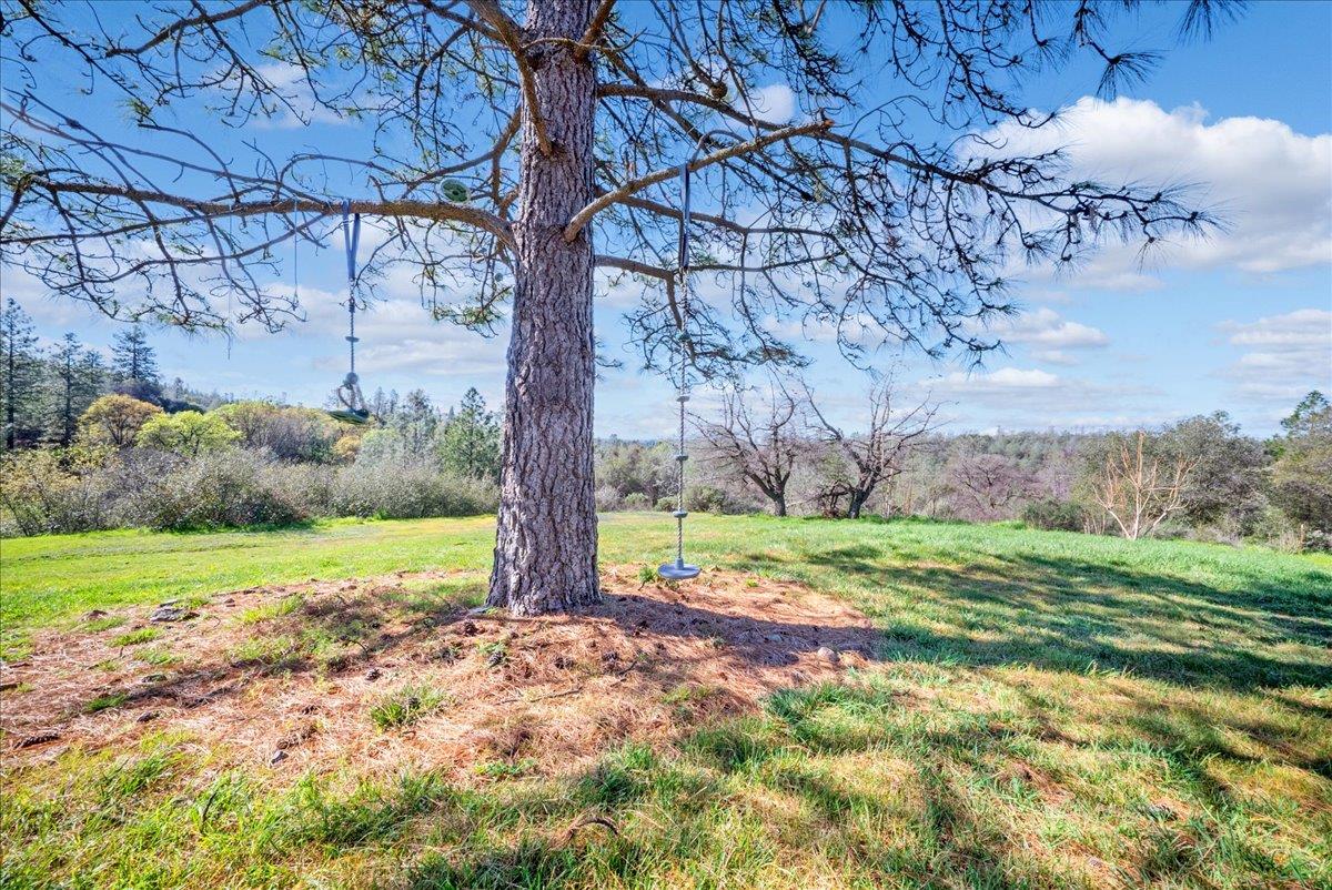 16035 Running Springs Road Grass Valley, CA 95949 - Photo 53 of 94