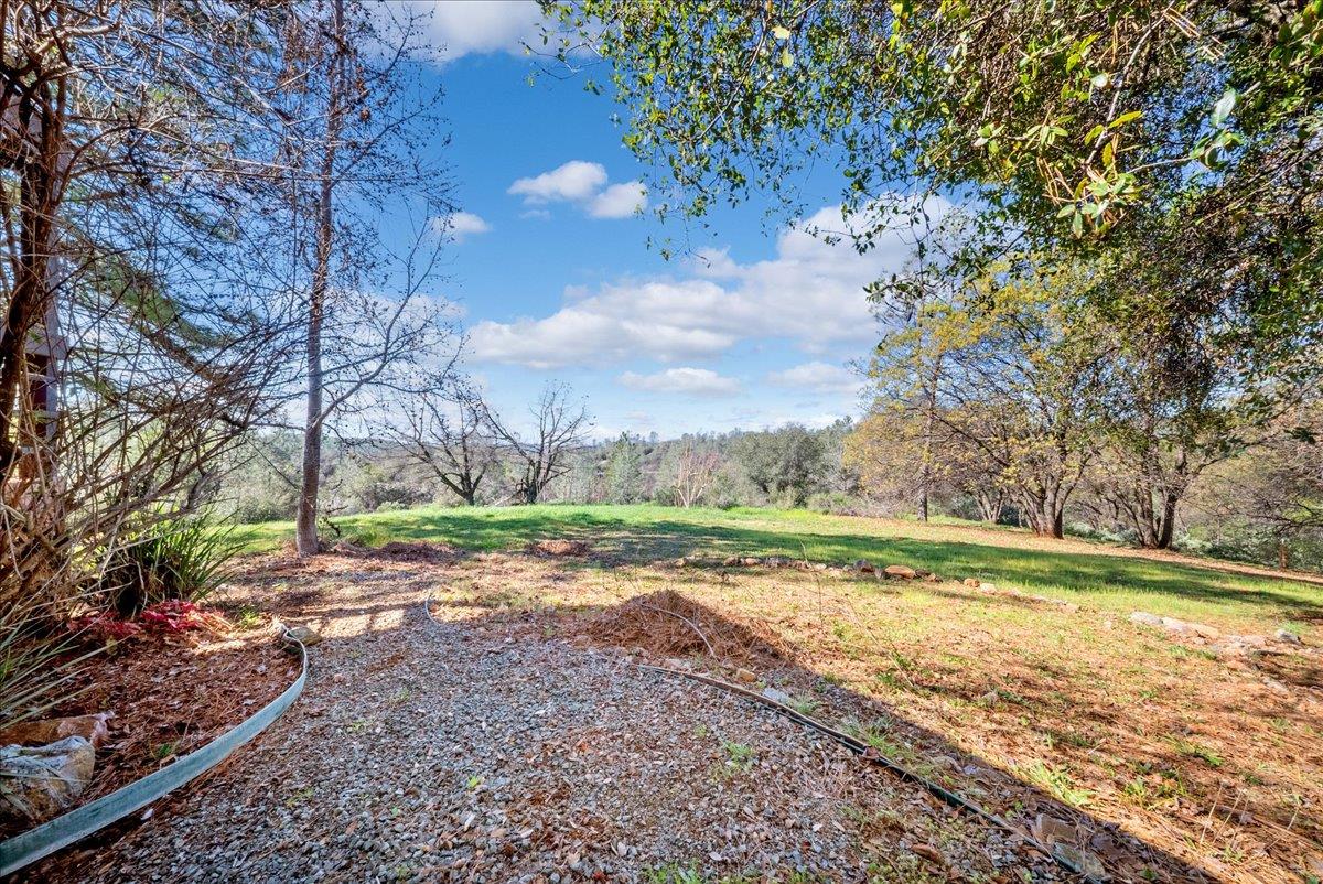 16035 Running Springs Road Grass Valley, CA 95949 - Photo 55 of 94 a view of a yard with wooden fence