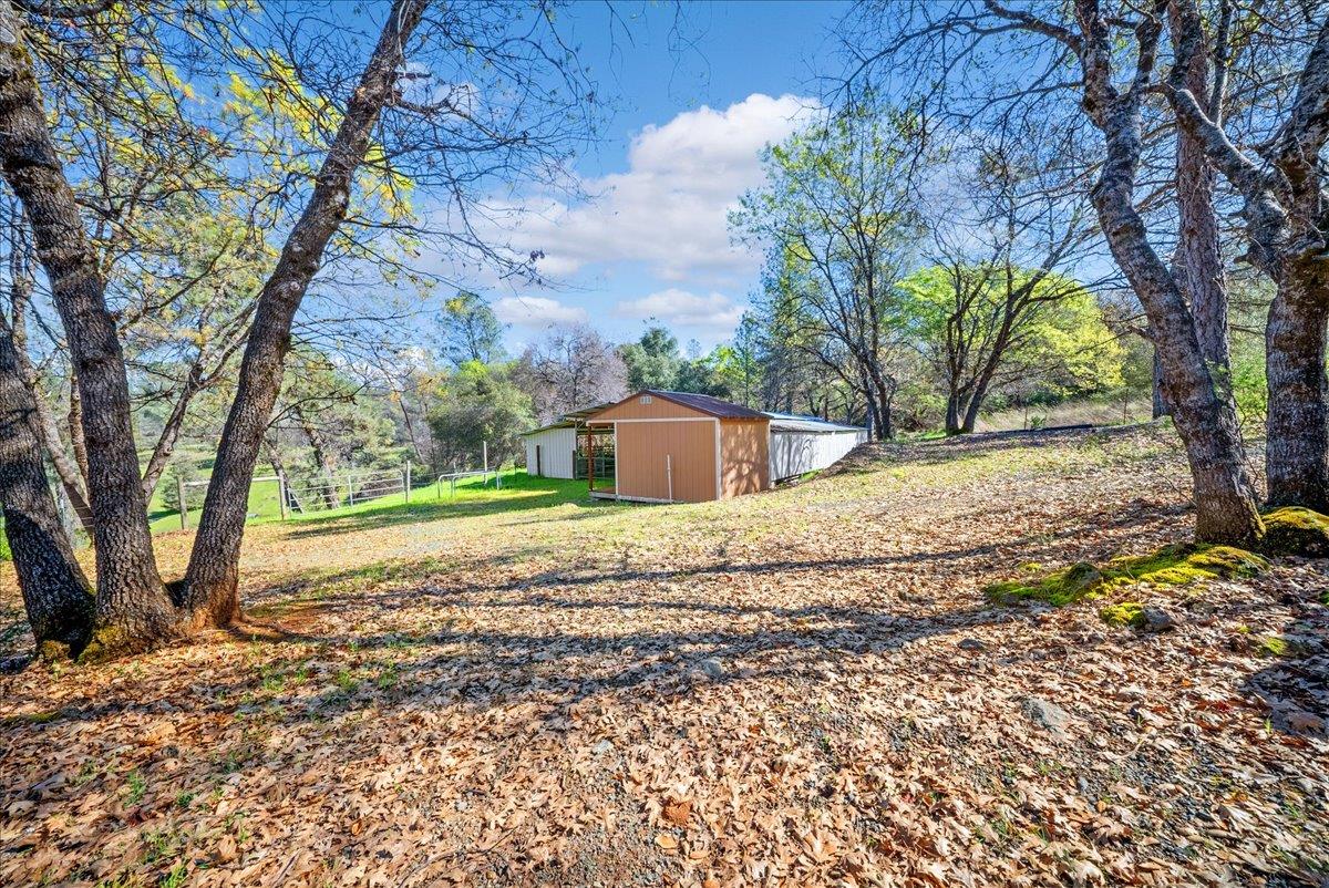 16035 Running Springs Road Grass Valley, CA 95949 - Photo 62 of 94 a view of a yard with plants and trees