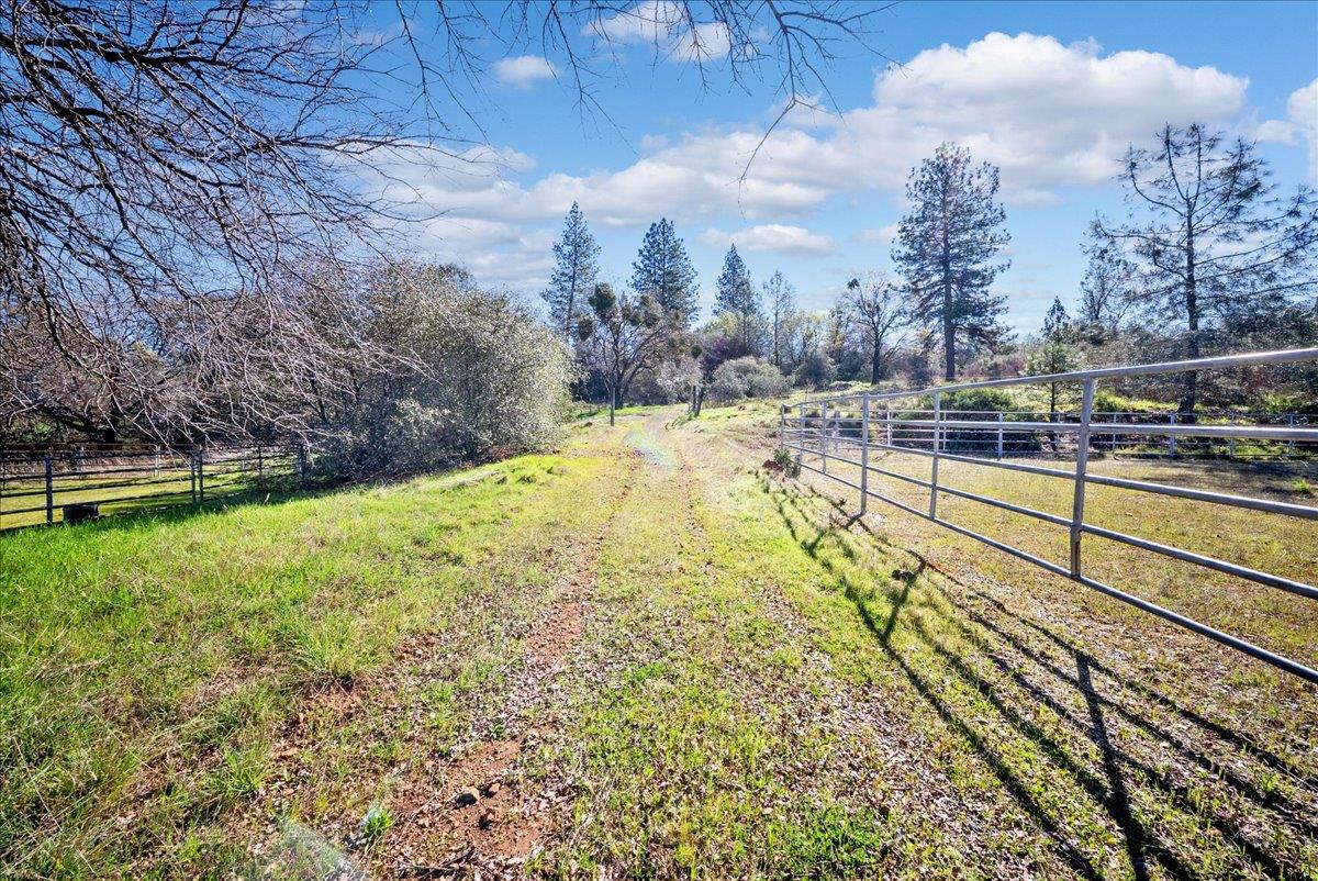 16035 Running Springs Road Grass Valley, CA 95949 - Photo 70 of 94 a view of a yard with wooden fence