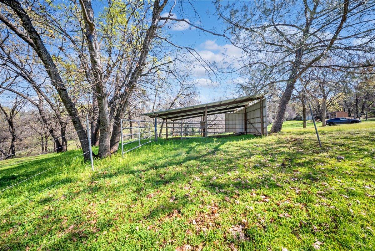 16035 Running Springs Road Grass Valley, CA 95949 - Photo 76 of 94 a view of a backyard with a large tree