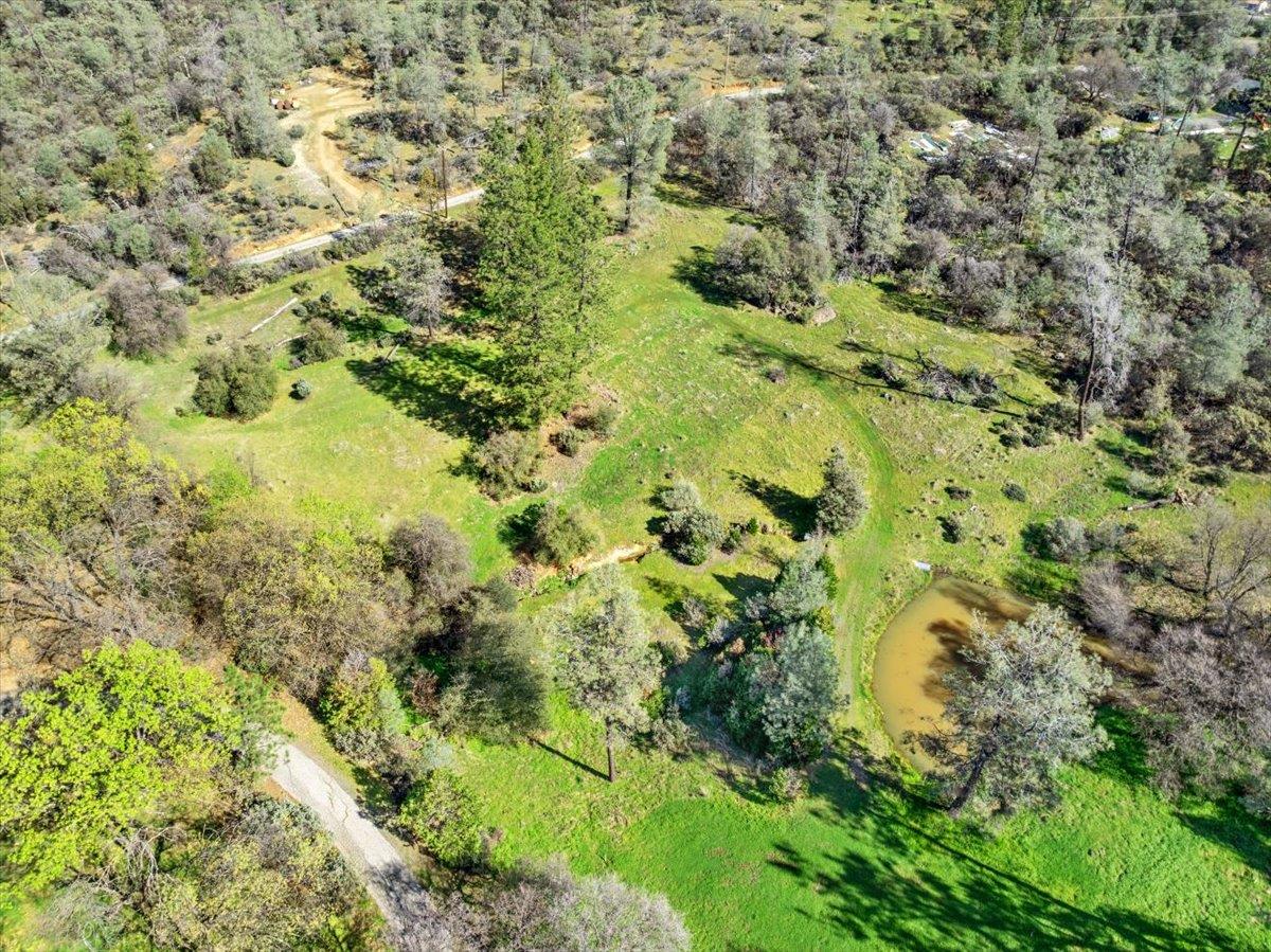 16035 Running Springs Road Grass Valley, CA 95949 - Photo 78 of 94 a view of a big yard with lots of bushes