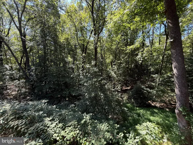 $2,950 | 100 Aquia Creek Road, Stafford, VA 22554